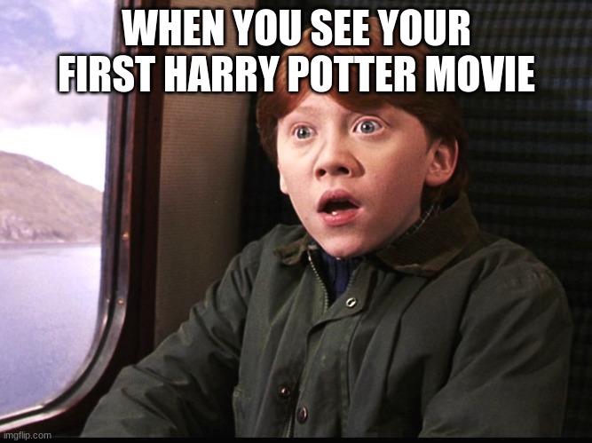 Ron Weasly | WHEN YOU SEE YOUR FIRST HARRY POTTER MOVIE | image tagged in ron weasly | made w/ Imgflip meme maker
