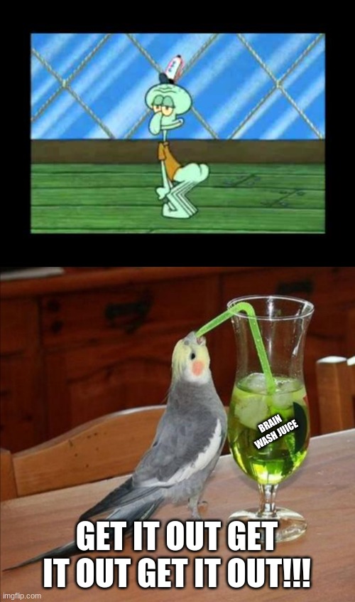 whhhhhhyyyyyy | BRAIN WASH JUICE; GET IT OUT GET IT OUT GET IT OUT!!! | image tagged in bird drinking green juice | made w/ Imgflip meme maker