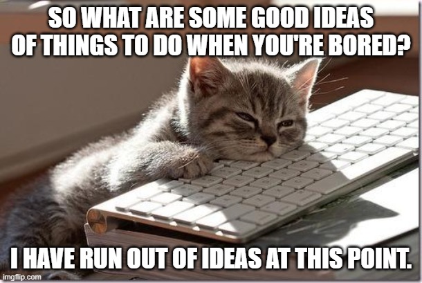 Bored Keyboard Cat | SO WHAT ARE SOME GOOD IDEAS OF THINGS TO DO WHEN YOU'RE BORED? I HAVE RUN OUT OF IDEAS AT THIS POINT. | image tagged in bored keyboard cat | made w/ Imgflip meme maker