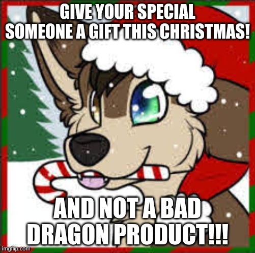 Merry Furry Xmas!!! | GIVE YOUR SPECIAL SOMEONE A GIFT THIS CHRISTMAS! AND NOT A BAD DRAGON PRODUCT!!! | image tagged in furry merry xmas | made w/ Imgflip meme maker