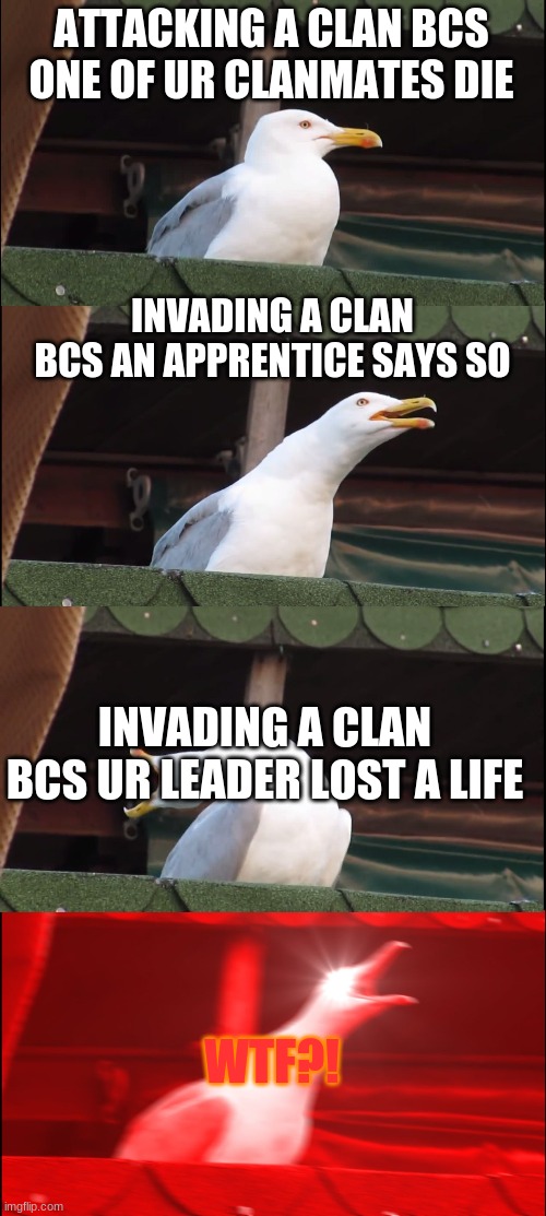 INVADING A CLAN? | ATTACKING A CLAN BCS ONE OF UR CLANMATES DIE; INVADING A CLAN BCS AN APPRENTICE SAYS SO; INVADING A CLAN BCS UR LEADER LOST A LIFE; WTF?! | image tagged in memes,inhaling seagull,warrior cats meme | made w/ Imgflip meme maker