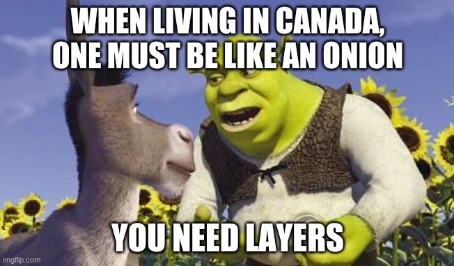 The ways of the onion sure are mysterious | WHEN LIVING IN CANADA, ONE MUST BE LIKE AN ONION; YOU NEED LAYERS | image tagged in shrek onions | made w/ Imgflip meme maker