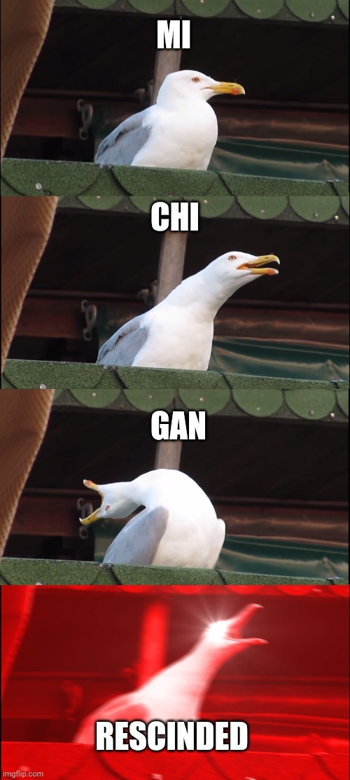 Politics and stuff | MI; CHI; GAN; RESCINDED | image tagged in memes,inhaling seagull | made w/ Imgflip meme maker