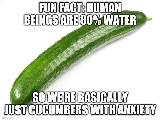 Humanity | FUN FACT: HUMAN BEINGS ARE 80% WATER; SO WE'RE BASICALLY JUST CUCUMBERS WITH ANXIETY | image tagged in cucumber | made w/ Imgflip meme maker