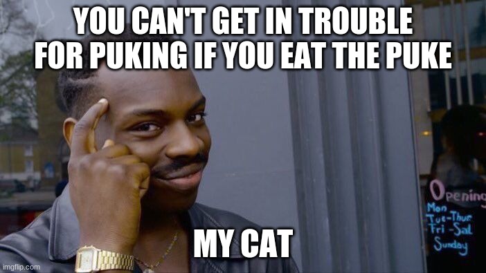 Cat thought | YOU CAN'T GET IN TROUBLE FOR PUKING IF YOU EAT THE PUKE; MY CAT | image tagged in memes,roll safe think about it,cats | made w/ Imgflip meme maker