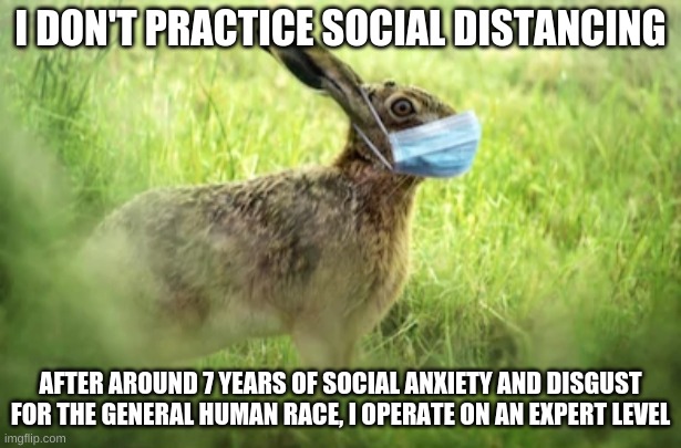 Expert?? | I DON'T PRACTICE SOCIAL DISTANCING; AFTER AROUND 7 YEARS OF SOCIAL ANXIETY AND DISGUST FOR THE GENERAL HUMAN RACE, I OPERATE ON AN EXPERT LEVEL | image tagged in corona bunny | made w/ Imgflip meme maker