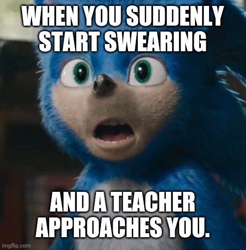 Sonic Movie | WHEN YOU SUDDENLY START SWEARING; AND A TEACHER APPROACHES YOU. | image tagged in sonic movie | made w/ Imgflip meme maker