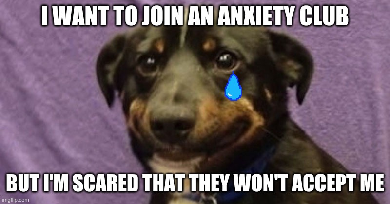 Anxiety dog | I WANT TO JOIN AN ANXIETY CLUB; BUT I'M SCARED THAT THEY WON'T ACCEPT ME | image tagged in anxiety dog | made w/ Imgflip meme maker