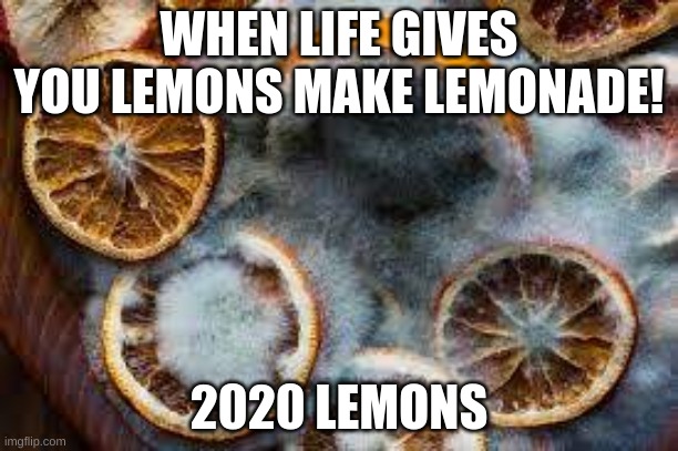 Moldy oranges | WHEN LIFE GIVES YOU LEMONS MAKE LEMONADE! 2020 LEMONS | image tagged in moldy oranges | made w/ Imgflip meme maker