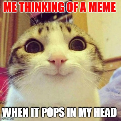 Smiling Cat | ME THINKING OF A MEME; WHEN IT POPS IN MY HEAD | image tagged in memes,smiling cat | made w/ Imgflip meme maker
