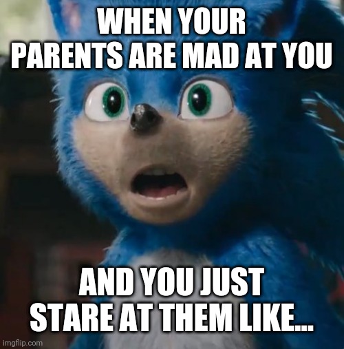 Sonic Movie | WHEN YOUR PARENTS ARE MAD AT YOU; AND YOU JUST STARE AT THEM LIKE... | image tagged in sonic movie | made w/ Imgflip meme maker