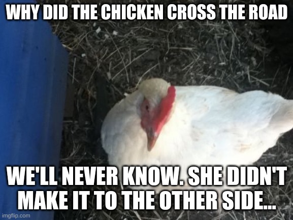 Bye chicken | WHY DID THE CHICKEN CROSS THE ROAD; WE'LL NEVER KNOW. SHE DIDN'T MAKE IT TO THE OTHER SIDE... | image tagged in memes,angry chicken boss | made w/ Imgflip meme maker