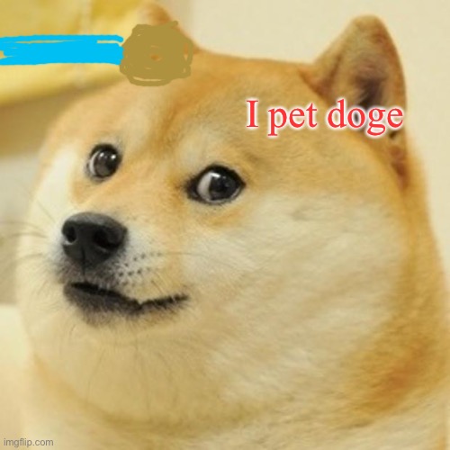Doge Meme | I pet doge | image tagged in memes,doge | made w/ Imgflip meme maker