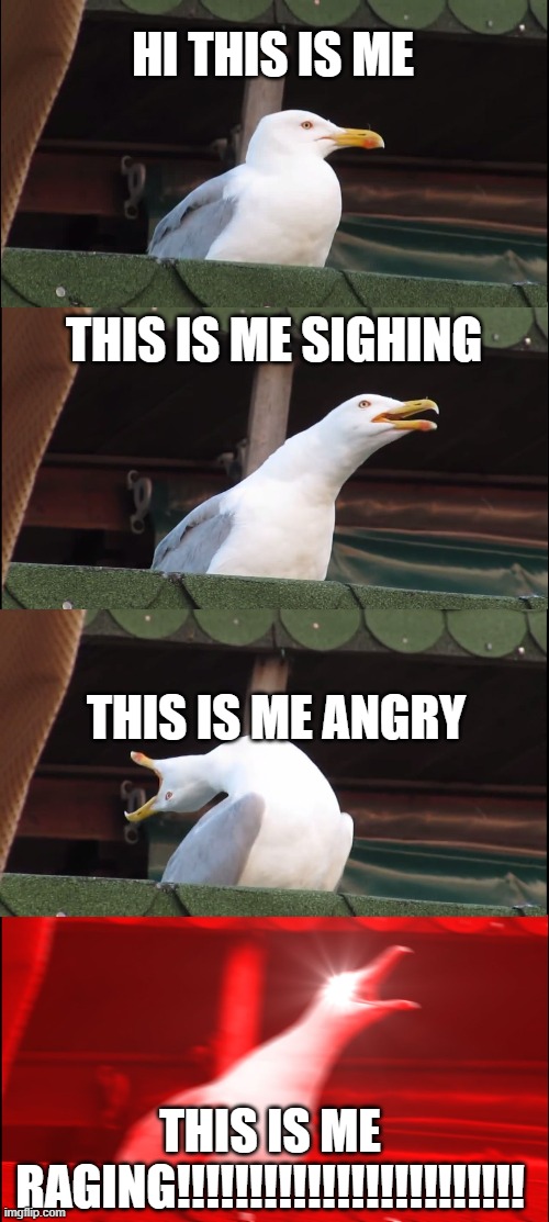 Inhaling Seagull | HI THIS IS ME; THIS IS ME SIGHING; THIS IS ME ANGRY; THIS IS ME RAGING!!!!!!!!!!!!!!!!!!!!!!!! | image tagged in memes,inhaling seagull | made w/ Imgflip meme maker