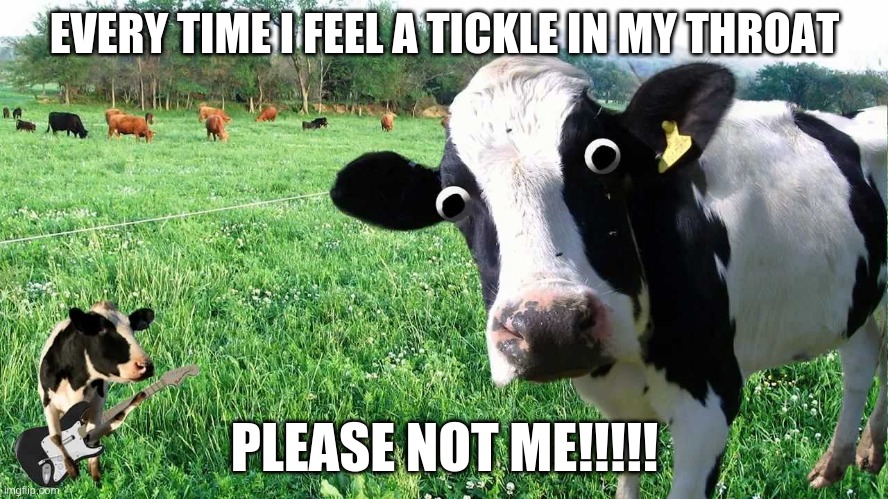 Alarmed Cow | EVERY TIME I FEEL A TICKLE IN MY THROAT; PLEASE NOT ME!!!!! | image tagged in alarmed cow | made w/ Imgflip meme maker