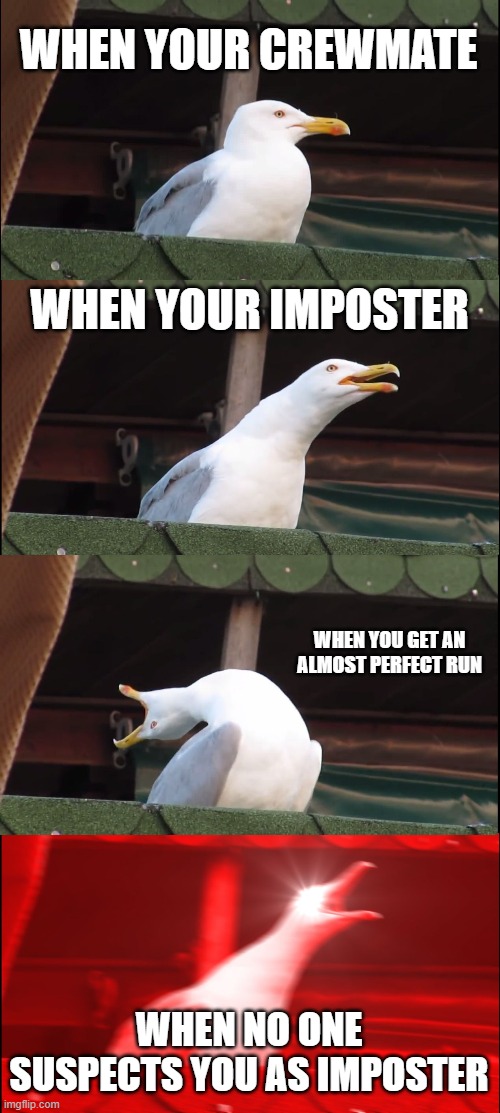 Inhaling Seagull Meme | WHEN YOUR CREWMATE; WHEN YOUR IMPOSTER; WHEN YOU GET AN ALMOST PERFECT RUN; WHEN NO ONE SUSPECTS YOU AS IMPOSTER | image tagged in memes,inhaling seagull | made w/ Imgflip meme maker