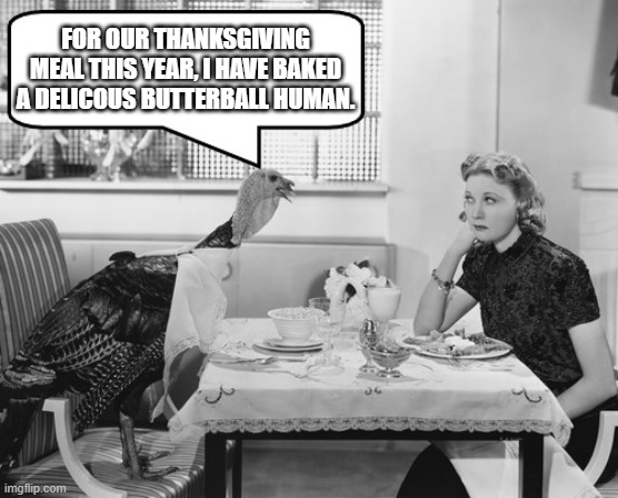 Thanksgiving Turkey Negotiations | FOR OUR THANKSGIVING MEAL THIS YEAR, I HAVE BAKED A DELICOUS BUTTERBALL HUMAN. | image tagged in thanksgiving turkey negotiations | made w/ Imgflip meme maker