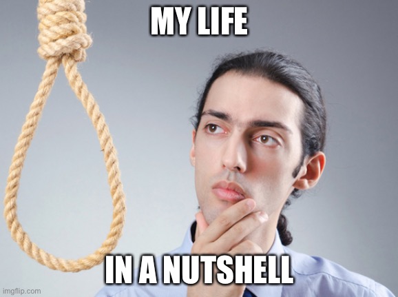 noose | MY LIFE; IN A NUTSHELL | image tagged in noose | made w/ Imgflip meme maker