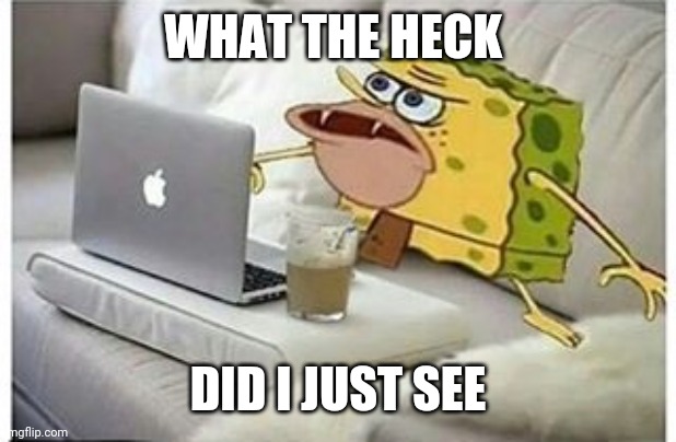 SpongeGar Computer | WHAT THE HECK DID I JUST SEE | image tagged in spongegar computer | made w/ Imgflip meme maker