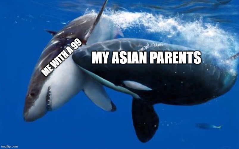 Asian style | MY ASIAN PARENTS; ME WITH A 99 | image tagged in memes | made w/ Imgflip meme maker