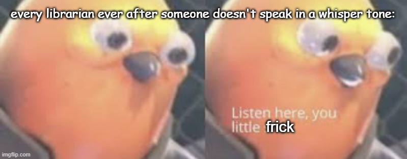 Listen here you little shit bird | every librarian ever after someone doesn't speak in a whisper tone:; frick | image tagged in memes | made w/ Imgflip meme maker