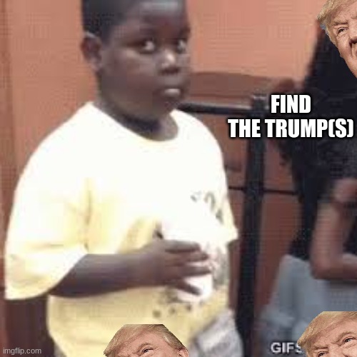 find the trump(s) | FIND THE TRUMP(S) | image tagged in terio | made w/ Imgflip meme maker