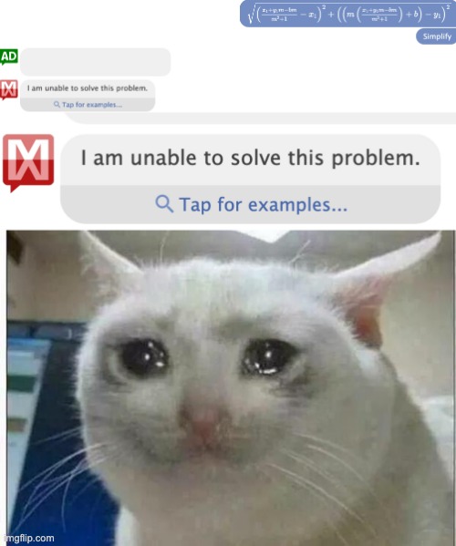 : ( | image tagged in crying cat | made w/ Imgflip meme maker