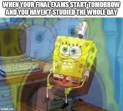 Internal screaming | WHEN YOUR FINAL EXAMS START TOMORROW AND YOU HAVEN'T STUDIED THE WHOLE DAY | image tagged in internal screaming | made w/ Imgflip meme maker