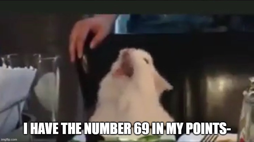 Cat Screaming | I HAVE THE NUMBER 69 IN MY POINTS- | image tagged in cat screaming | made w/ Imgflip meme maker