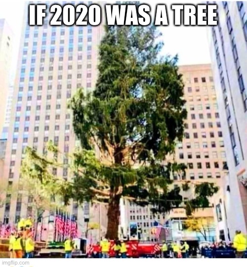 NYC Christmas | IF 2020 WAS A TREE | image tagged in 2020 | made w/ Imgflip meme maker
