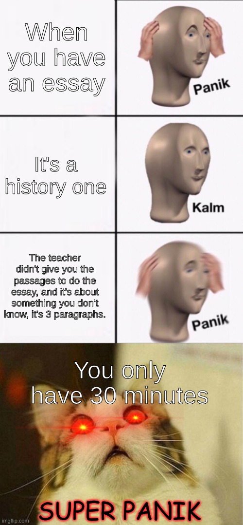 very funni school thingy | When you have an essay; It's a history one; The teacher didn't give you the passages to do the essay, and it's about something you don't know, it's 3 paragraphs. You only have 30 minutes; SUPER PANIK | image tagged in stonks panic calm panic,memes,scared cat | made w/ Imgflip meme maker