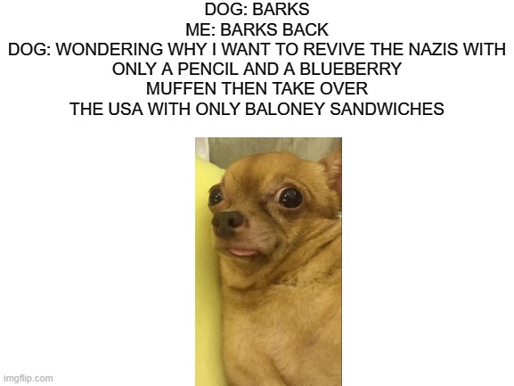 Blank White Template | DOG: BARKS
ME: BARKS BACK
DOG: WONDERING WHY I WANT TO REVIVE THE NAZIS WITH ONLY A PENCIL AND A BLUEBERRY MUFFEN THEN TAKE OVER THE USA WITH ONLY BALONEY SANDWICHES | image tagged in blank white template | made w/ Imgflip meme maker