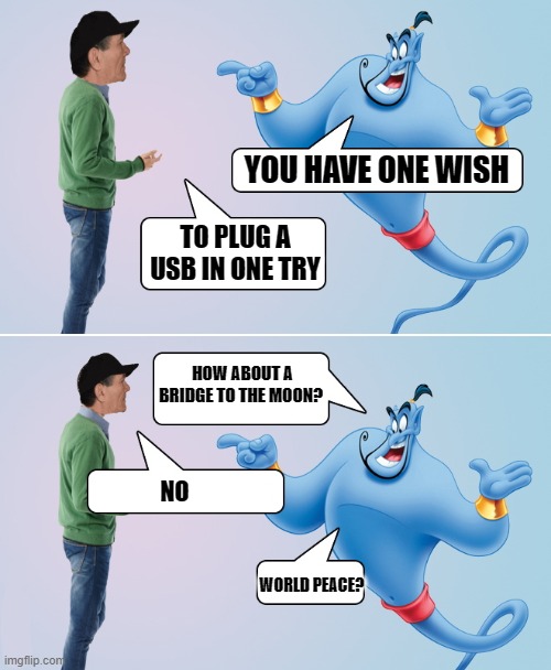one wish | YOU HAVE ONE WISH; TO PLUG A USB IN ONE TRY; HOW ABOUT A BRIDGE TO THE MOON? NO; WORLD PEACE? | image tagged in genie in the bottle,usb | made w/ Imgflip meme maker