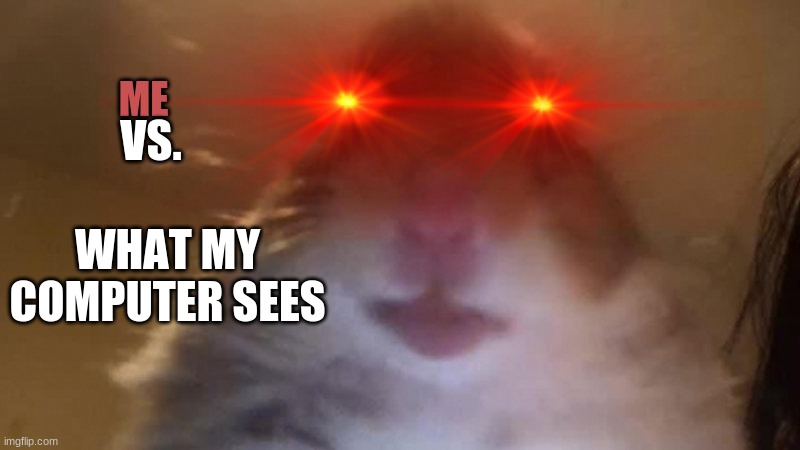 me me | ME; VS. WHAT MY COMPUTER SEES | image tagged in hamster | made w/ Imgflip meme maker