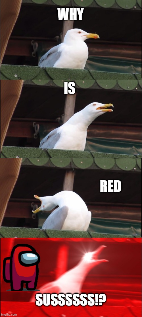 Inhaling Seagull Meme | WHY; IS; RED; SUSSSSSS!? | image tagged in memes,inhaling seagull | made w/ Imgflip meme maker