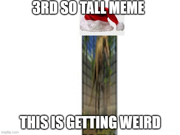 But really why am I doing this | 3RD SO TALL MEME; THIS IS GETTING WEIRD | image tagged in blank,why | made w/ Imgflip meme maker