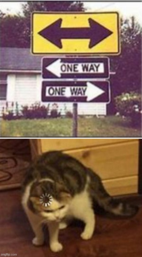 Good luck figuring out which way | image tagged in loading cat | made w/ Imgflip meme maker