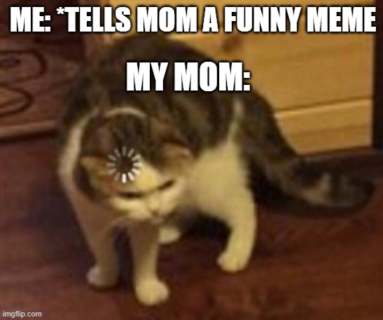Ah great, a meme, within a meme | ME: *TELLS MOM A FUNNY MEME; MY MOM: | image tagged in loading cat,meme,with,in a nutshell | made w/ Imgflip meme maker