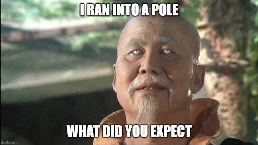 I ran into something | I RAN INTO A POLE; WHAT DID YOU EXPECT | image tagged in kung fu po | made w/ Imgflip meme maker