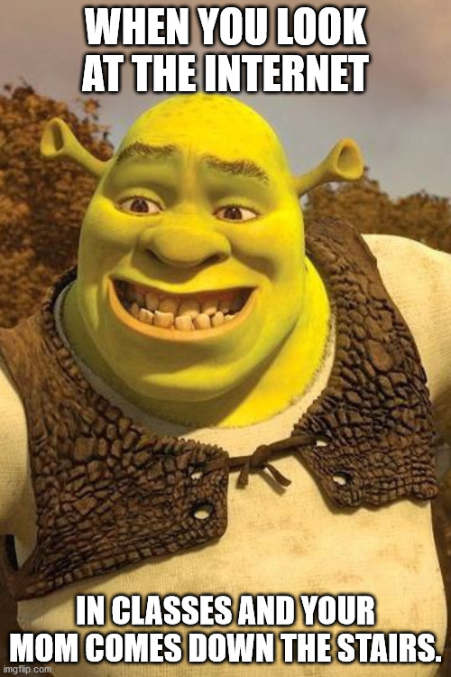 Looking at the internet in class | WHEN YOU LOOK AT THE INTERNET; IN CLASSES AND YOUR MOM COMES DOWN THE STAIRS. | image tagged in smiling shrek | made w/ Imgflip meme maker