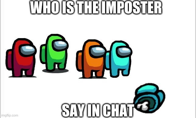 oops mistake i ment say in comments lol | WHO IS THE IMPOSTER; SAY IN CHAT | image tagged in white background | made w/ Imgflip meme maker