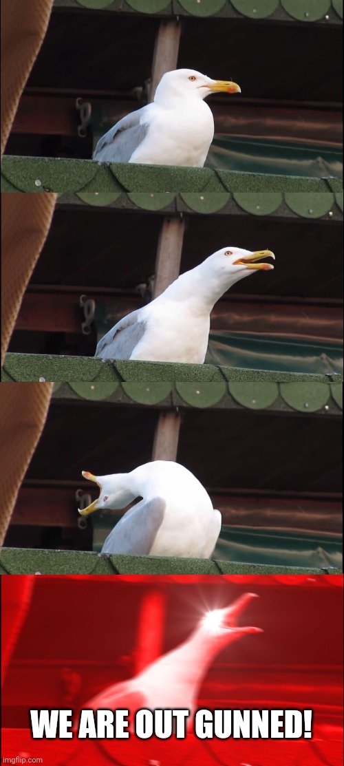 Inhaling Seagull | WE ARE OUT GUNNED! | image tagged in memes,inhaling seagull | made w/ Imgflip meme maker