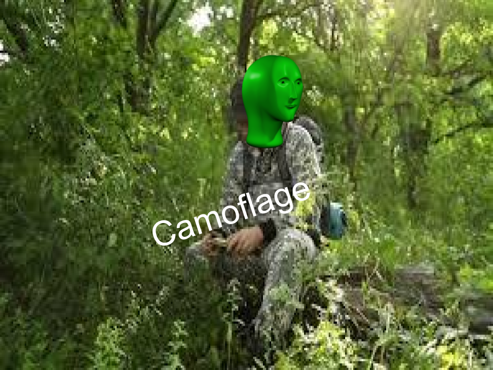 High Quality Camoflage Blank Meme Template