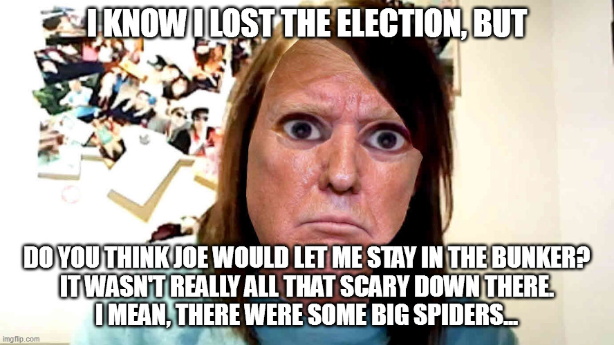 Donnie won't go. | I KNOW I LOST THE ELECTION, BUT; DO YOU THINK JOE WOULD LET ME STAY IN THE BUNKER?
IT WASN'T REALLY ALL THAT SCARY DOWN THERE.
I MEAN, THERE WERE SOME BIG SPIDERS... | image tagged in overly-attached ex-potus,loser trump | made w/ Imgflip meme maker