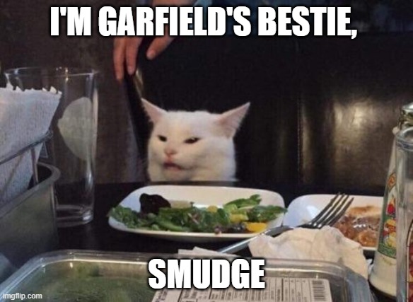 Salad cat | I'M GARFIELD'S BESTIE, SMUDGE | image tagged in salad cat | made w/ Imgflip meme maker