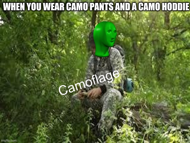 Camoflage | WHEN YOU WEAR CAMO PANTS AND A CAMO HODDIE | image tagged in camoflage | made w/ Imgflip meme maker