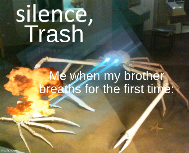 Silence Crab | Trash; Me when my brother breaths for the first time: | image tagged in silence crab | made w/ Imgflip meme maker