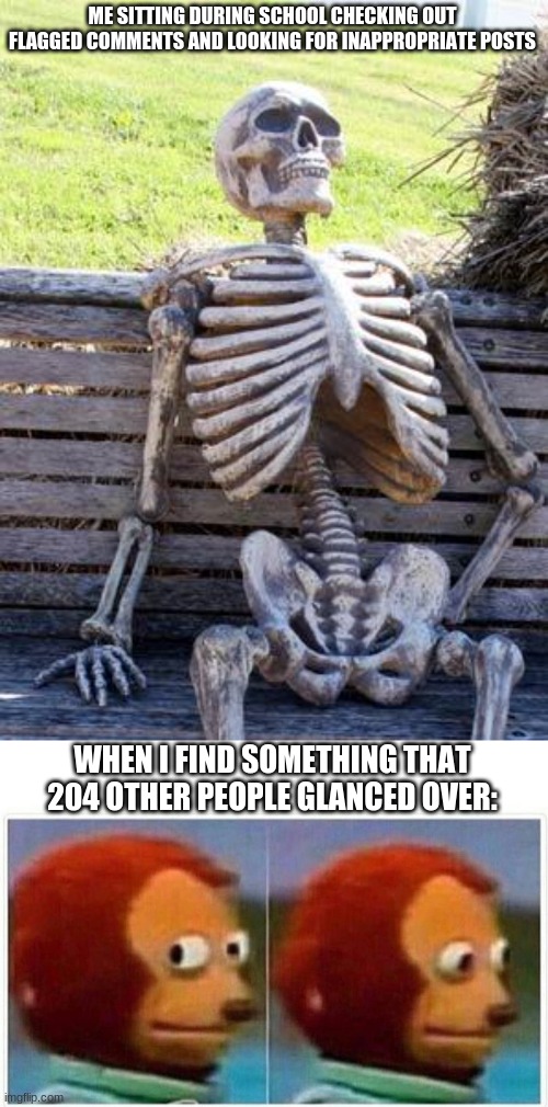 ME SITTING DURING SCHOOL CHECKING OUT FLAGGED COMMENTS AND LOOKING FOR INAPPROPRIATE POSTS; WHEN I FIND SOMETHING THAT 204 OTHER PEOPLE GLANCED OVER: | image tagged in memes,waiting skeleton,monkey puppet | made w/ Imgflip meme maker