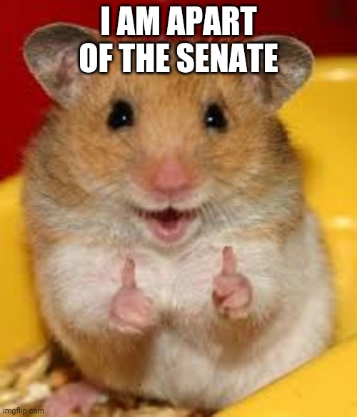 Thumbs up hamster  | I AM APART OF THE SENATE | image tagged in thumbs up hamster | made w/ Imgflip meme maker