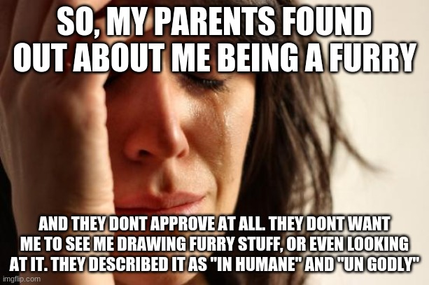 First World Problems | SO, MY PARENTS FOUND OUT ABOUT ME BEING A FURRY; AND THEY DONT APPROVE AT ALL. THEY DONT WANT ME TO SEE ME DRAWING FURRY STUFF, OR EVEN LOOKING AT IT. THEY DESCRIBED IT AS "IN HUMANE" AND "UN GODLY" | image tagged in memes,first world problems | made w/ Imgflip meme maker